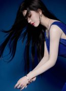 <b>中国地质长、党组</b>